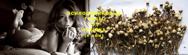 винт Покров