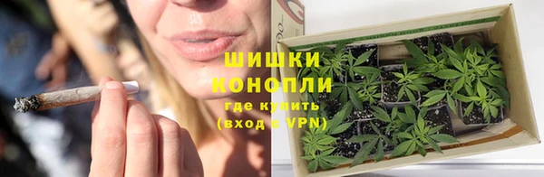 ECSTASY Покачи