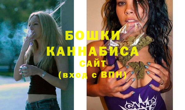 ECSTASY Покачи