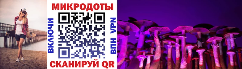 hydra как зайти Южа Галлюциногенные грибы прущие грибы
