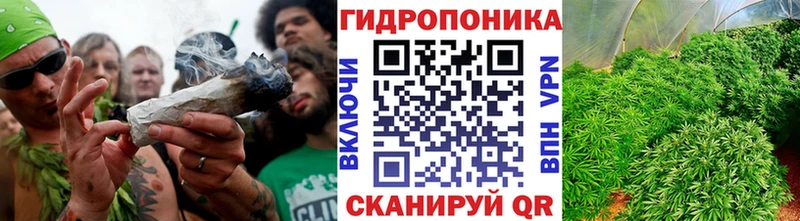 Бошки марихуана гибрид дарк нет официальный сайт Южа